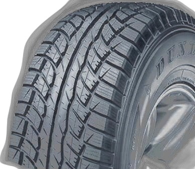 Dunlop Grandtrek ST1