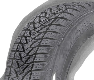 Firestone Winterhawk