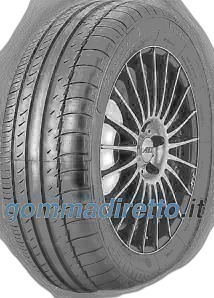 King Meiler Sport 1