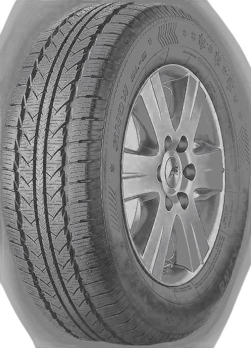 Nankang Winter Activa SL-6 