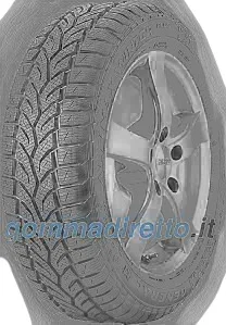 General Altimax Winter Plus